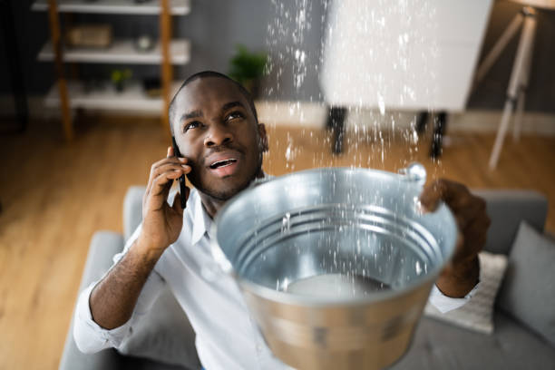 Best Water damage cleanup near me  in Plymouth, IN