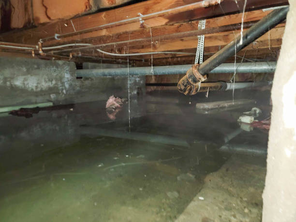 Best Local water damage restoration  in Plymouth, IN