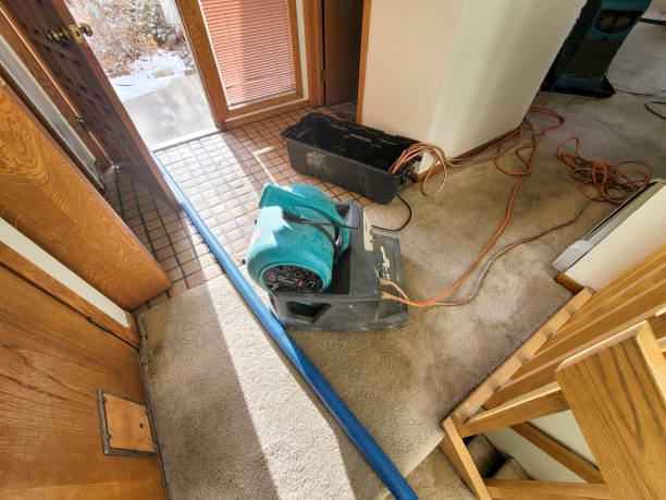 Water damage restoration mold remediation