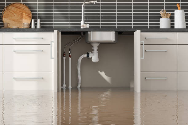 Best 24-hour water damage restoration  in Plymouth, IN